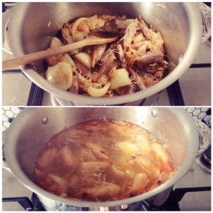 Prawn-stock-recipe