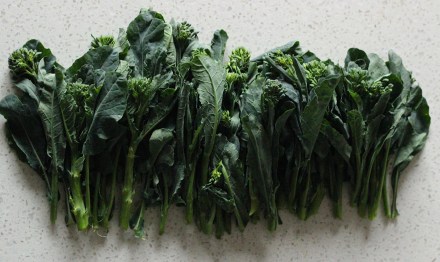 Brocollini-1